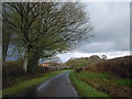 Lane near Spring Farm