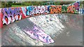 NT0567 : Skateboard Park by Mick Garratt