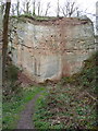 Grinshill quarries - a former face