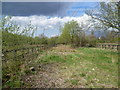 Wandle Meadow Nature Park