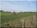 J1533 : Farmland near the Ardaragh Free Presbyterian Church by Eric Jones