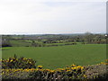 Farmland west of Ardaragh Road