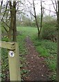 Footpath - Nova Lane