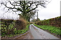 A wet Easter Monday  in Hollington Lane near Hollington