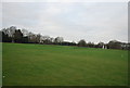 Polo Farm Sports Club - cricket pitch