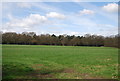 Farmland by Pillar Box Rd