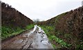 A very narrow Watery Lane heading for Beamhurst