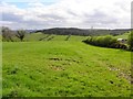 Grassy slopes, Tycanny