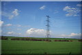 TQ5987 : Pylon in a field by N Chadwick