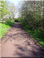 The North Bucks Way