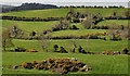 Drumlin fields near Ballynahinch