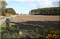 Looking towards Whiteinch