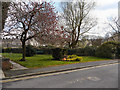 Padiham Centenary Garden