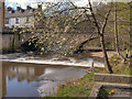 River Calder, Padiham