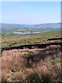 Rough grassland and reservoir