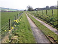 Farm road, near Lype Brake