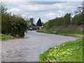 Shropshire Union Canal near Wardle Farm Bridge