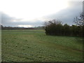 Farmland near Moorland Trout Farm