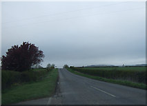 SE4681 : Moor Lane heading north by JThomas