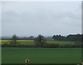 Farmland near High Farm