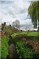 The Ravensbourne in Haynes Park