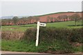 Halsegate signpost