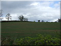 Farmland off Skelton Lane