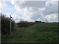 A bridleway leading towards Muckton Wood