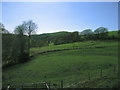 Fields west of Cnwch Coch