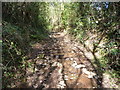 Hillside routeway above Llyswen