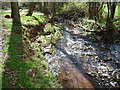 Bedrock below the Triffrwd brook