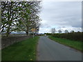 Chapel Lane, Marton le Moor, heading east