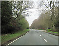 A49 approaching Abbots Moss Nursery entrance