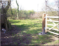 SN1710 : New Gates at The Claypits, Llanteg by welshbabe