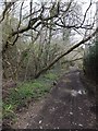 Track to Tipleyhill Cross in the valley of the Liverton Brook