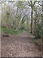 Footpath through Ilsington Wood to Woodhouse Bridge