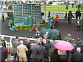 SJ3697 : Winners enclosure at Aintree by Nick Smith