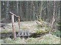 Recycled timber bridge & path to geocache