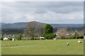 Pastureland between Ballydoo Road and the B7