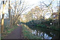 Towpath, Basingstoke Canal