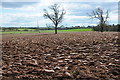 SO6800 : Ploughed field near Wanswell Court Farm by Philip Halling