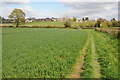 Footpath at Wanswell