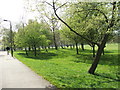 View through the Downhills Park