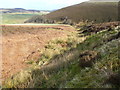 Burn of Muntie above Glen Lethnot