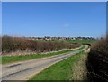 Moles Lane towards Seaton