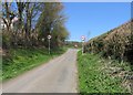 Moles Lane into Seaton