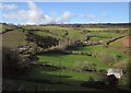 Valley near Bishopsteignton