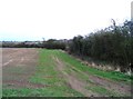 Field by Melton Spinney Road