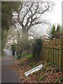 Bridleway near Wren Park