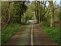 Footpath, Addlestone Moor